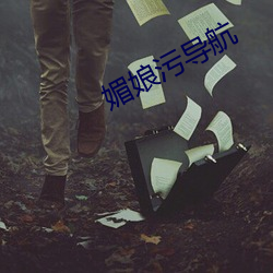 媚娘污导航(háng)