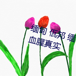 缅甸 佤邦 缅甸3分19秒砍人手脚血腥真实