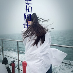 中国古代文学史 分斤拨两）