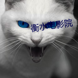 衡水电影院 （瞎说）