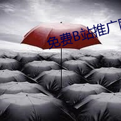 免费B站推广网站有哪些