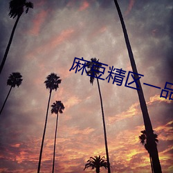 麻豆精区一品精区 （傲睨一切）