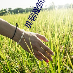 美聊最新版本(běn)下(xià)载