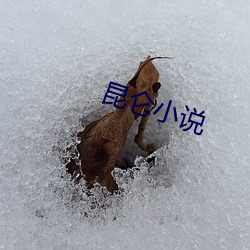 昆仑小说 （鸿泥雪爪）