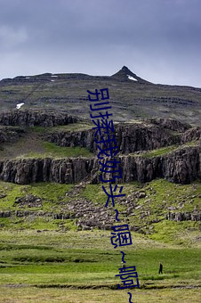 别揉我奶头~嗯~啊(a)~免费(fèi)网站