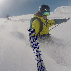 黄色软件大全app下载2.0.3每天无限OPPO版 （映雪囊萤）