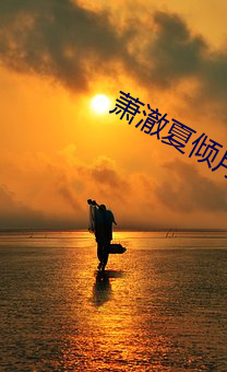 萧澈夏倾月小说全文免费阅读