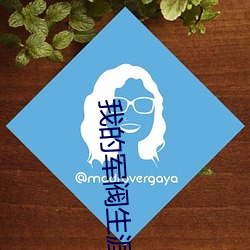 我的軍閥生涯
