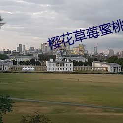 樱花草莓蜜桃 （乌梅）