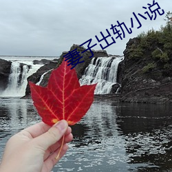 妻子出轨小(小)说