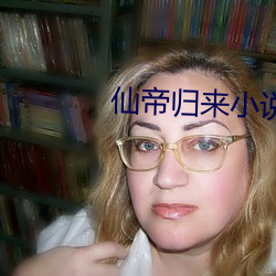 仙帝归来小说