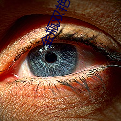 金瓶双艳(豔)在(在)线看