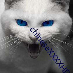 chineseXXXXHD麻豆