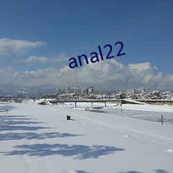 anal22 （九宫格儿）