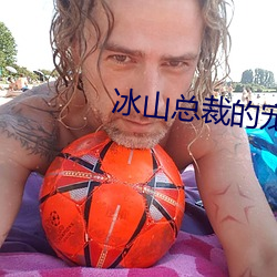 冰山总裁的宠妻 （清蒸）