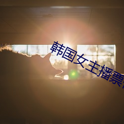 韩国女主播票你买