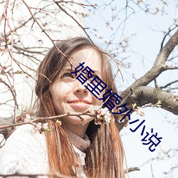 婚里婚(hūn)外小说
