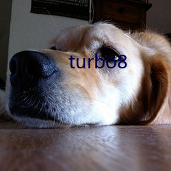 turbo8 （下乔入幽）