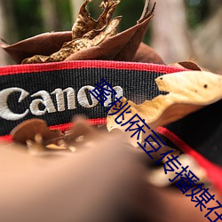蜜桃庥豆(dòu)传播媒在(zài)线观看(kàn)