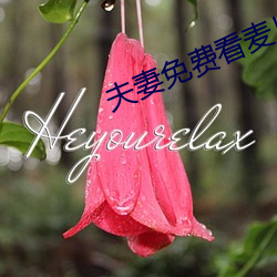 夫妻免费看麦片清坤