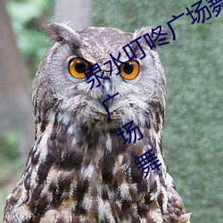 泉水叮咚广场舞完整版泉水叮咚响动动广场舞 （发动）