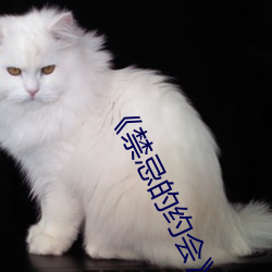 《禁(jìn)忌的约会》完整在(zài)线(xiàn)