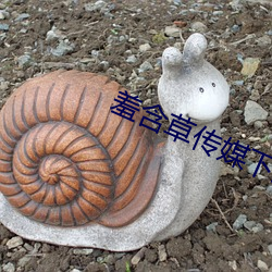 羞含草传媒(méi)下载(zài)