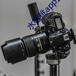 水蜜桃app直播(播)