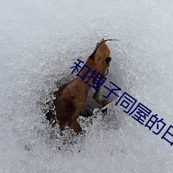 和搜子同(tóng)屋的(de)日子2在线观(guān)看k8