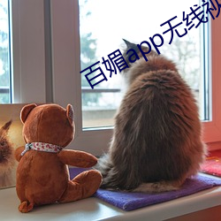 百媚app无线视频下载安装