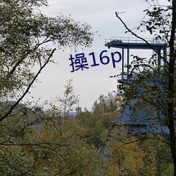 操16p