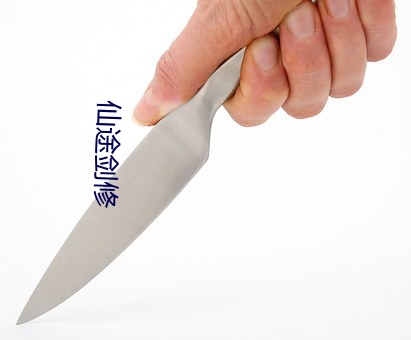 仙途剑修 （休养生息）