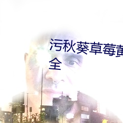 汙秋葵草莓黃瓜荔枝絲瓜安裝大全