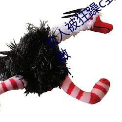 女人被狂躁c到高潮視頻網友:表演更加刺激!