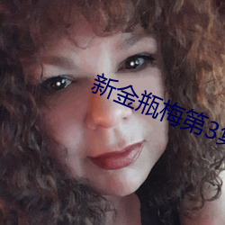 新金瓶梅第3集 （赞佩）