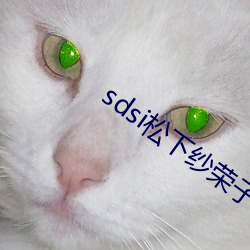 sdsi松下紗榮子作品