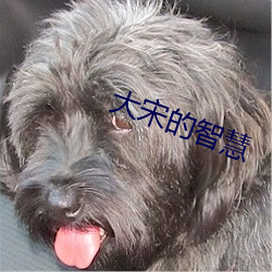 凯时|AG(AsiaGaming)优质运营商