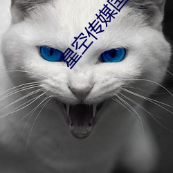 星空传(chuán)媒国产剧情