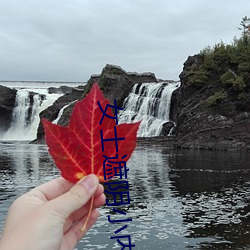 (й) - ٷվ