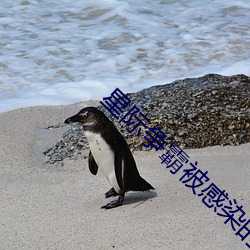 星际争霸被(被)感染的护士