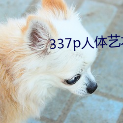 337p人(人)体艺术