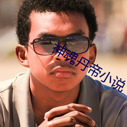 神魂丹帝小说