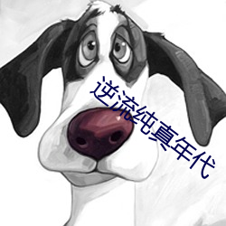 凯时|AG(AsiaGaming)优质运营商