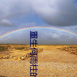 重生何雨柱的四合院小说