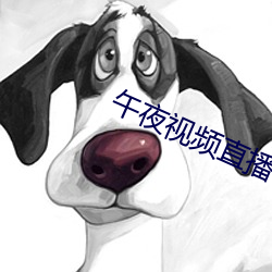 午夜视频直播