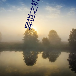 异世之机械公敌txt