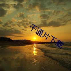幹逼片下載