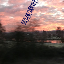 司夜寒叶绾绾全文阅读