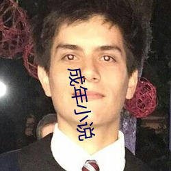 成(chéng)年小说