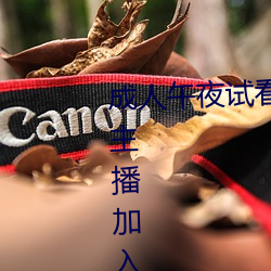 成人午夜试看120秒体验区(qū)很多女主播(bō)加入